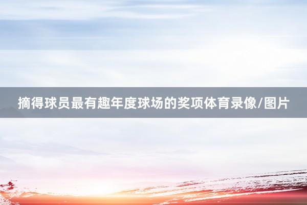 摘得球员最有趣年度球场的奖项体育录像/图片