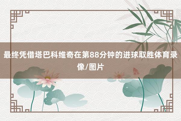 最终凭借塔巴科维奇在第88分钟的进球取胜体育录像/图片