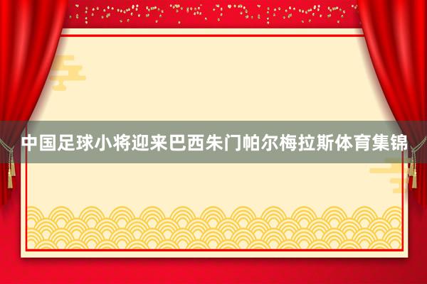中国足球小将迎来巴西朱门帕尔梅拉斯体育集锦