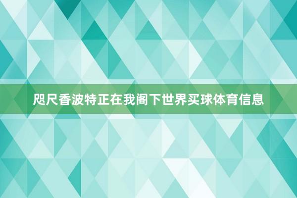 咫尺香波特正在我阁下世界买球体育信息