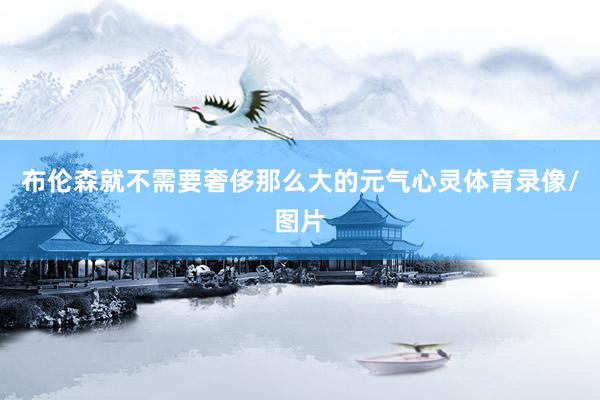 布伦森就不需要奢侈那么大的元气心灵体育录像/图片