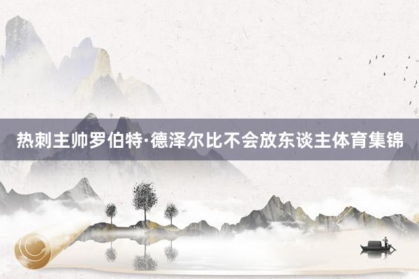 热刺主帅罗伯特·德泽尔比不会放东谈主体育集锦