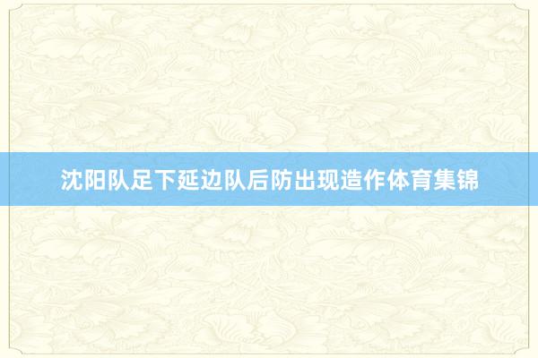 沈阳队足下延边队后防出现造作体育集锦